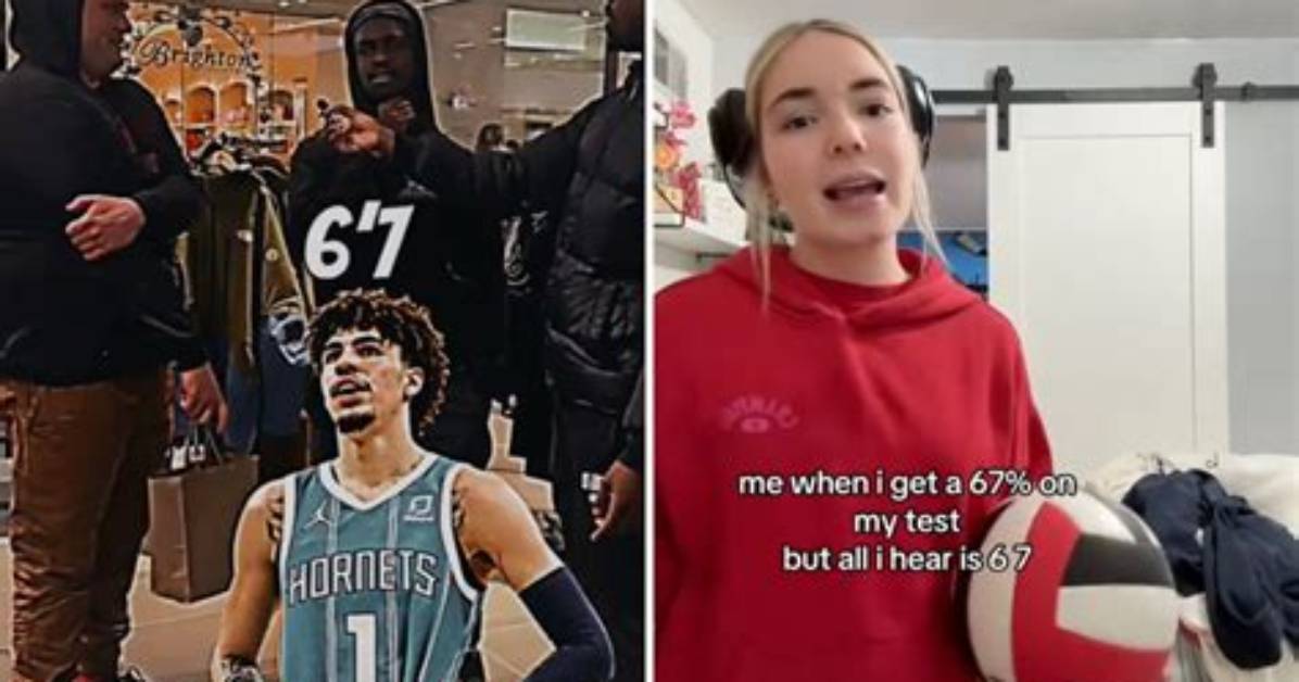 Where Do Viral Tiktok Meme Photos Actually Come from A