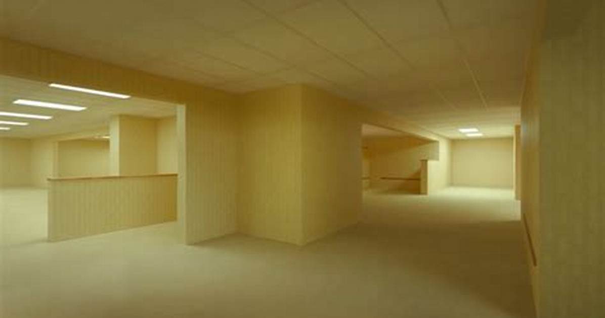 Where the Backrooms Movie Viral Scene Came from Clip Breakdown And