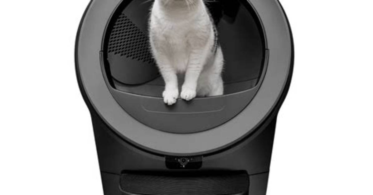 Whisker Litter Robot 5 Pro Debuts Is the Next Gen Smart Cat Box Truly Worth The