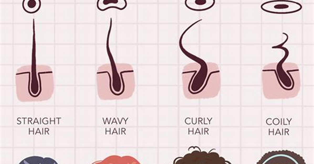 Why a Single Long Hair Suddenly Grows from a Mole Or