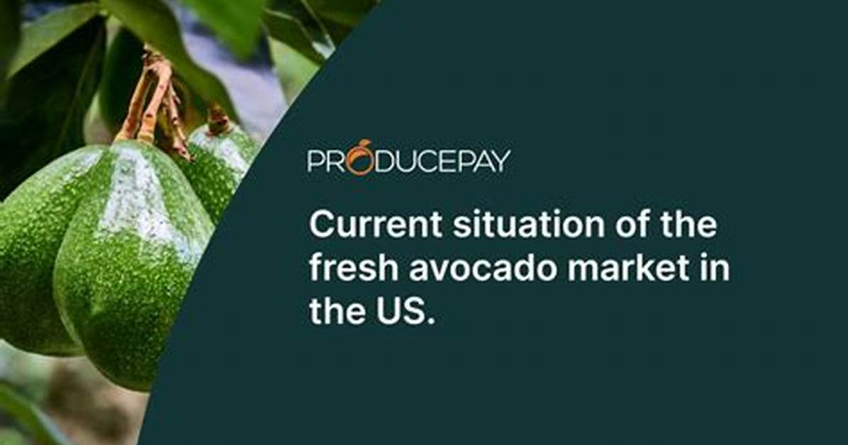 Why Mexican Avocado Shipments to the Us Were Suddenly