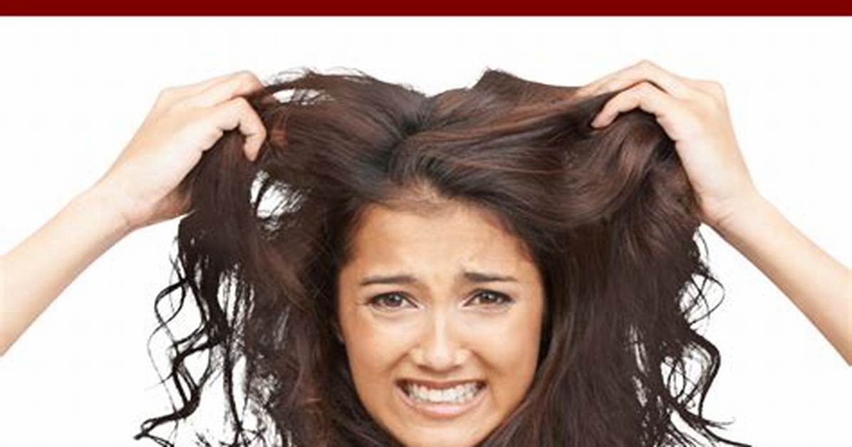 Why Salons Are Ditching Traditional Bobs for Dry Cut