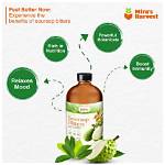 Why Soursop Bitters Searches Are Exploding: Wellness Trends Collide with Health Warnings