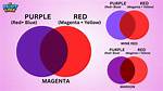 Why 'What Does Red and Purple Make' Is Suddenly Trending Across Social Media
