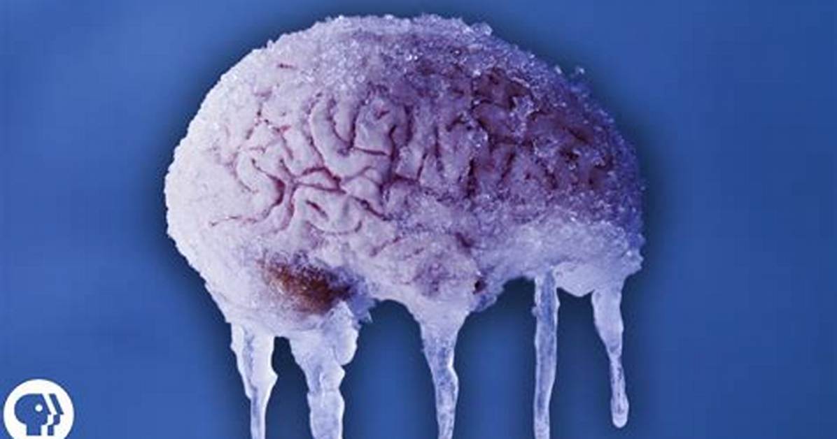 Why Your Brain Freezes Inside the Neural Clash of Approach