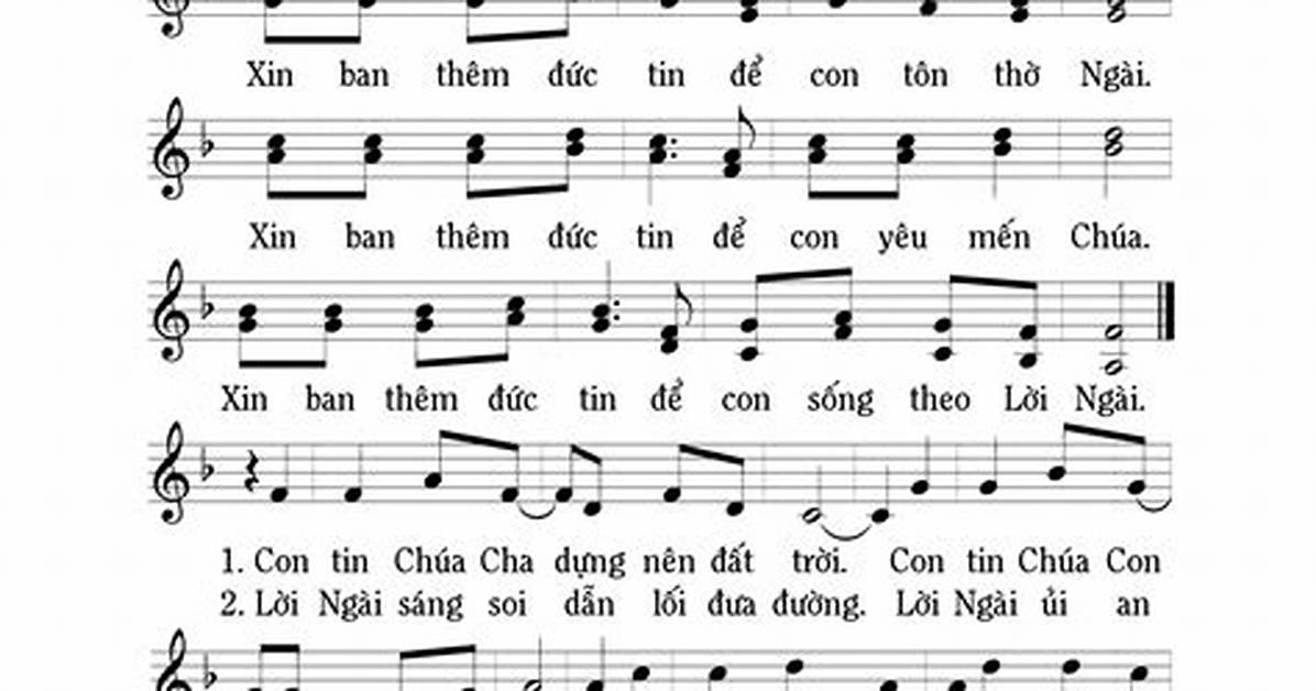 Xin Da Ban Shi Fano Xin Gan Xianha Hao Shudewakaru Nozomi Hikarino Lie Che Fan Haono Fa Zewo Che Di