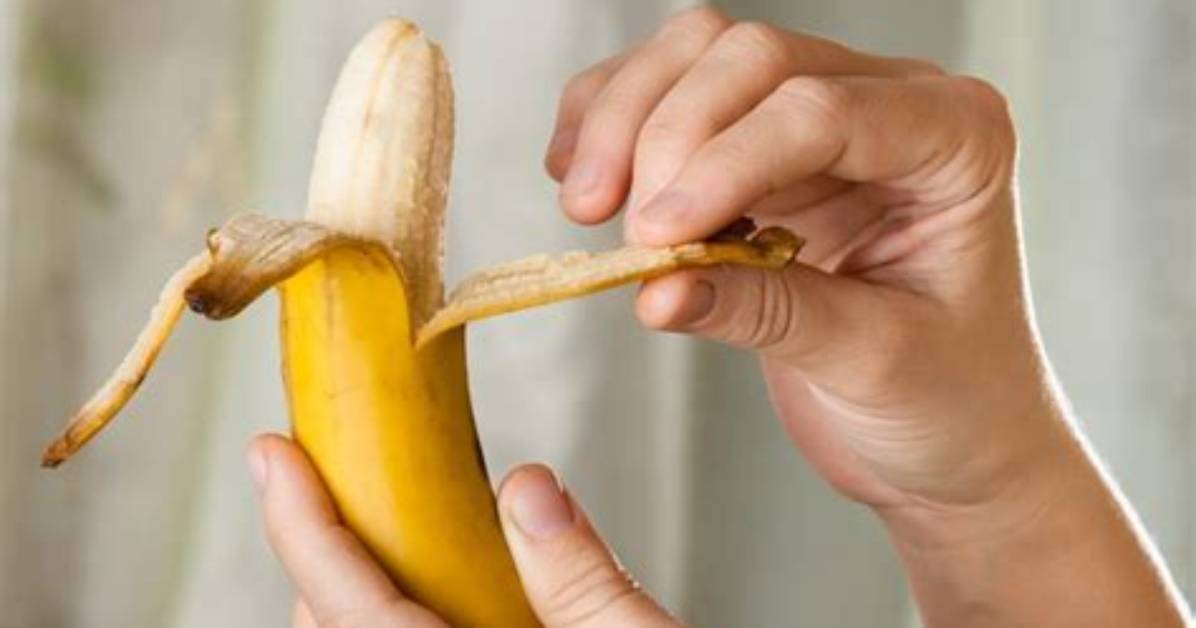 You Ve Been Peeling Bananas Wrong Your Whole Life the Monkey